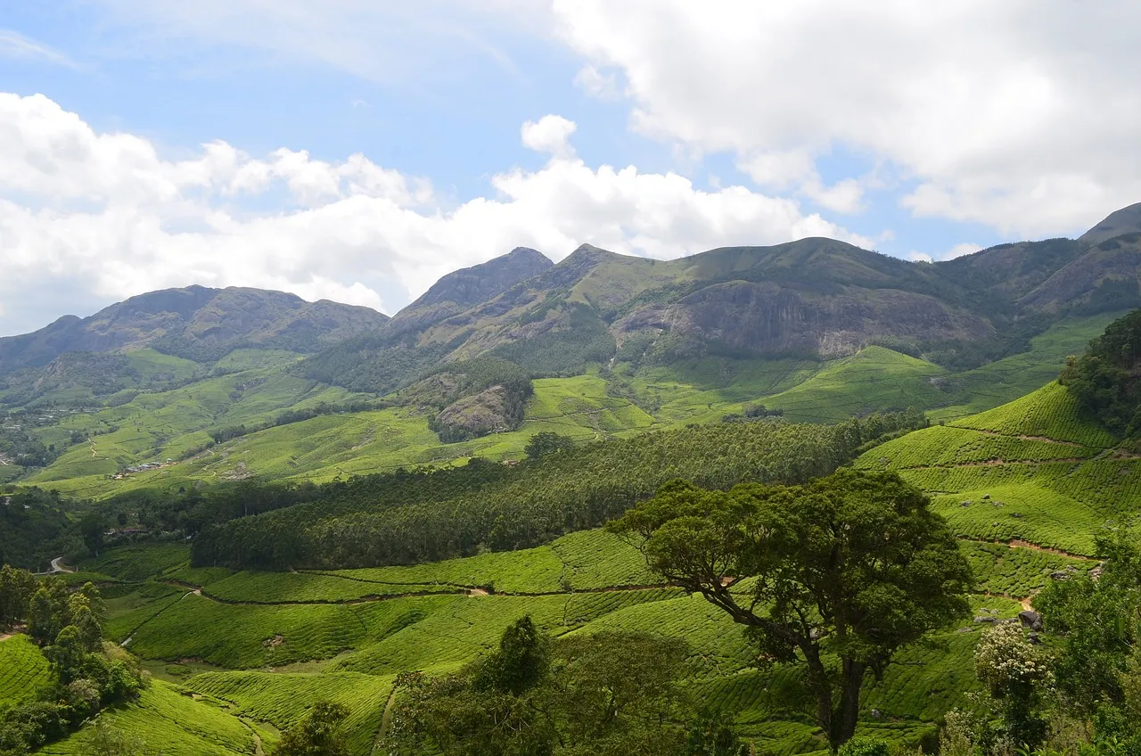 Best of South India: Cultures of Karnataka & Kerala